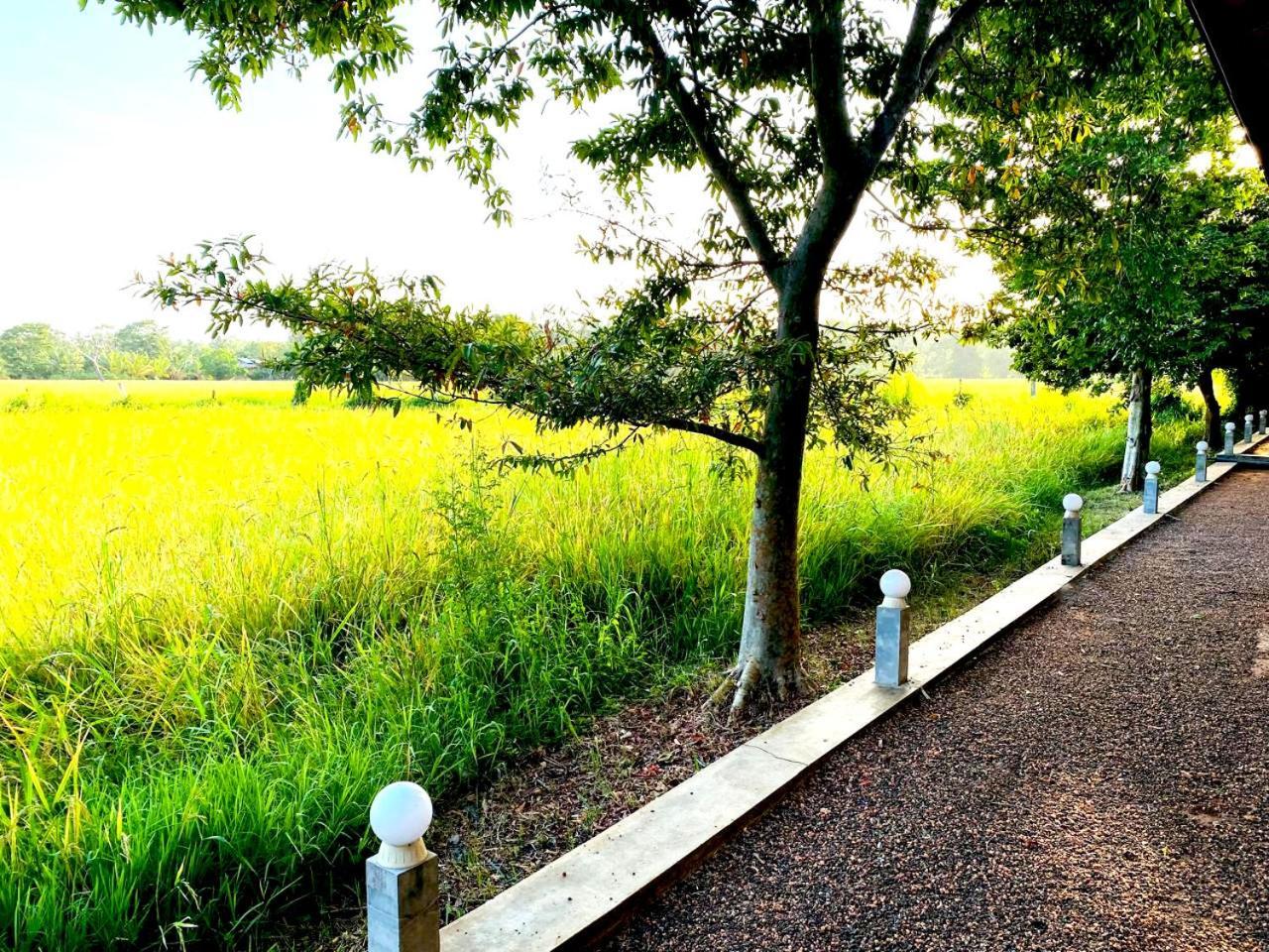 Athyantha Resort Anuradhapura Zewnętrze zdjęcie